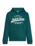 Jjelogo Sweat Hood 2 Col 24/25 Noos Mni Tops Sweatshirts & Hoodies Hoodies Green Jack & J S