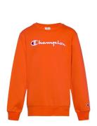 Crewneck Sweatshirt Tops Sweatshirts & Hoodies Sweatshirts Orange Champion