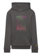 Dotted Eagle Graphic Hoodie Tops Sweatshirts & Hoodies Hoodies Grey Lyle & Scott