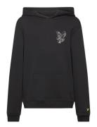 3D Eagle Graphic Hoodie Tops Sweatshirts & Hoodies Hoodies Black Lyle & Scott