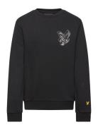 3D Eagle Graphic Sweatshirt Tops Sweatshirts & Hoodies Sweatshirts Black Lyle & Scott