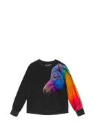 Reniza Tops T-shirts Long-sleeved T-Skjorte Black Molo