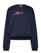 Modern Safari Coveru Sport Sweatshirts & Hoodies Sweatshirts Navy Reebok Performance