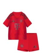 Fc Bayern Munich H Mini Sets Sets With Short-sleeved T-shirt Red Adidas Performance