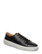 Sampe Designers Sneakers Low-top Sneakers Black Tiger Of Sweden