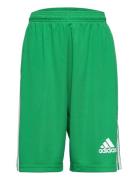 Squadra 21 Short Youth Sport Shorts Sport Shorts Green Adidas Performance