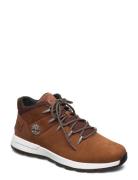 Mid Lace Up Sneaker Designers Sneakers Low-top Sneakers Brown Timberland