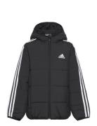 3-Stripes Padded Jacket Kids Sport Jackets & Coats Puffer & Padded Black Adidas Sportswear