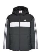 Padded Jacket Kids Sport Jackets & Coats Puffer & Padded Black Adidas Sportswear