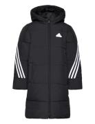 3-Stripes Padded Jacket Sport Jackets & Coats Puffer & Padded Black Adidas Sportswear