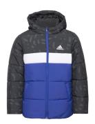 Jb Cb Pad Jkt Sport Jackets & Coats Puffer & Padded Black Adidas Sportswear