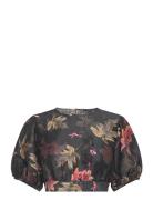 Asta Viviana Top Tops Crop Tops Short-sleeved Crop Tops Black AllSaints