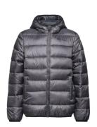 Hooded Jacket Sport Jackets & Coats Puffer & Padded Black Champion