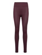 Women Seamless Plain Leggings Sport Running-training Tights Seamless Tights Burgundy ZEBDIA