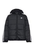 Padded Jacket Sport Jackets & Coats Puffer & Padded Black Adidas Originals