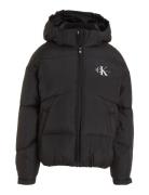 Ck Short Puffer Jacket Foret Jakke Black Calvin Klein