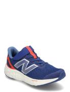 New Balance Freshfoam Arishi Kids Bungee Lace With Hook & Loop Top Strap Low-top Sneakers Blue New Balance