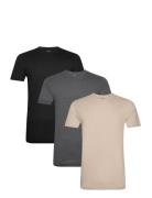 Slim Crewneck 3-Pack Tops T-Kortærmet Skjorte Multi/patterned Polo Ralph Lauren Underwear