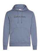 Raised Line Logo Hoodie Tops Sweatshirts & Hoodies Hoodies Blue Calvin Klein