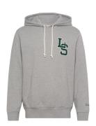 Standard Graphic Hoodie Ls Let Tops Sweatshirts & Hoodies Hoodies Grey LEVI´S Men