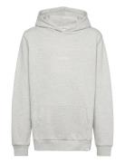 Dexter Hoodie Kids Tops Sweatshirts & Hoodies Hoodies Grey Les Deux