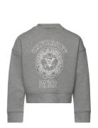 Sweatshirt Tops Sweatshirts & Hoodies Sweatshirts Grey Zadig & Voltaire Kids