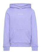 Logo Hoodie Tops Sweatshirts & Hoodies Hoodies Purple Tom Tailor