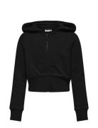 Kogbella Life L/S Zip Hood Short Ub Swt Tops Sweatshirts & Hoodies Hoodies Black Kids Only