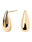 Large Sugar Earrings Accessories Jewellery Earrings Studs Gold PD Paola