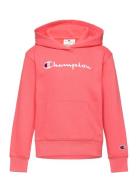 Hooded Sweatshirt Tops Sweatshirts & Hoodies Hoodies Coral Champion