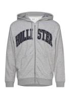 Hco. Guys Sweatshirts Tops Sweatshirts & Hoodies Hoodies Grey Hollister