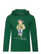 Polo Bear Cotton Jersey Hooded Tee Tops Sweatshirts & Hoodies Hoodies Green Ralph Lauren Kids