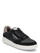 Regan Low Top Low-top Sneakers Black AllSaints