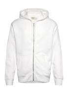 Hco. Guys Sweatshirts Tops Sweatshirts & Hoodies Hoodies White Hollister