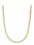 The Daisy Rope Chain- Gold Accessories Jewellery Necklaces Chain Necklaces Gold LUV AJ