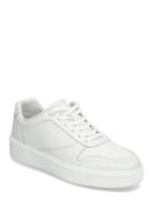 Low Top Lace Up Bskt Lth Low-top Sneakers White Calvin Klein