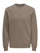 Onsceres Crew Neck Noos Tops Sweatshirts & Hoodies Sweatshirts Brown ONLY & SONS