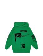 Maxx Tops Sweatshirts & Hoodies Hoodies Green Molo