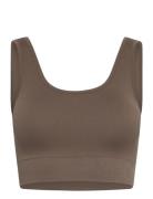 Soft Rib Seamless Crop Top Sport Bras & Tops Sports Bras - All Brown Moonchild Yoga Wear