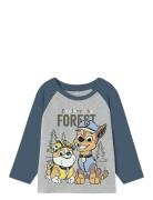 Nmmsente Pawpatrol Ls Nreg Top Cplg Tops T-shirts Long-sleeved T-Skjorte Grey Name It