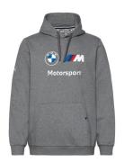 Bmw Mms Ess Hoodie Fleece Sport Sweatshirts & Hoodies Hoodies Grey PUMA Motorsport