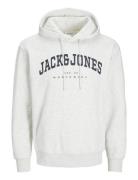 Jjecaleb Varsity Sweat Hood Noos Tops Sweatshirts & Hoodies Hoodies Grey Jack & J S