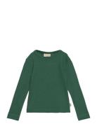 T-Shirt L/S Modal Tops T-shirts Long-sleeved T-Skjorte Green Petit Piao