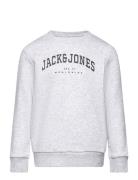 Jjecaleb Varsity Sweat Crew Neck Sn Jnr Tops Sweatshirts & Hoodies Sweatshirts Grey Jack & J S