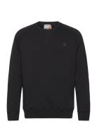 Brushed Back Crew Sweatshirt Designers Sweatshirts & Hoodies Sweatshirts Black Timberland