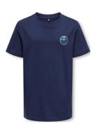 Kobessex S/S Tee Box Jrs Tops T-Kortærmet Skjorte Navy Kids Only