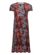 Daisys Aop Ss Dress Dresses & Skirts Dresses Casual Dresses Short-sleeved Casual Dresses Multi/patterned Mini Rodini