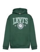 Levi's® Sporty Pullover Hoodie Tops Sweatshirts & Hoodies Hoodies Green Levi's