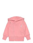 Classic Hoodie Tops Sweatshirts & Hoodies Hoodies Pink Gugguu