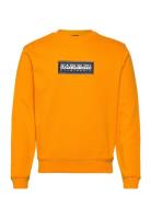 Box Logo Sweatshirt Tops Sweatshirts & Hoodies Sweatshirts Orange Napapijri